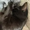 JACKSON - @jackeby.2 - TikTok