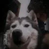 JJ - @jack.eddy5 - TikTok