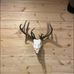 Jack Edgerton - Facebook