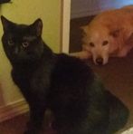 Jackie Edlund - Facebook