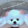 Jack has pets at home - @edson.jack - TikTok