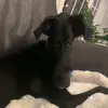 Jack_Edward - @jack789_6 - TikTok