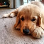 Jack Eggers - @jack_7896543 - Instagram