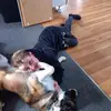 Sarah McNaughton - @jack.eggers2 - TikTok