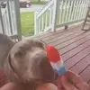 jackehlers1 - @jackehlers1 - TikTok