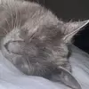 jackeid289 - @jackeid289 - TikTok
