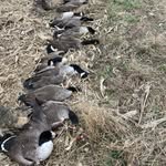 Jack Eisenhart - @jack.eisenhart - Instagram