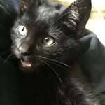 Jack Eisenhower - @jacky_the_caty - Instagram