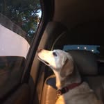 Jack Eisenman - @eisenmanjack - Instagram