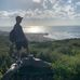Jacob Ellenbogen - Facebook