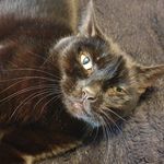 Jack Elman - @jelman21 - Instagram