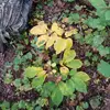 Jackie Hembree - @jackie.hembree - TikTok