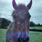 jack@emmett.com - @jackemmett.com5882 - Instagram