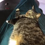 Jack&Daisy - @jackendaisy - Instagram