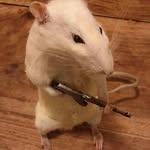 Jack Enders - @walleyes134 - Instagram