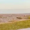 Jackie Engelman - @jackie.engelman - TikTok