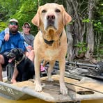 Jack Englert - Facebook
