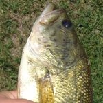 Jack Englund - @waterfowl0220 - Instagram