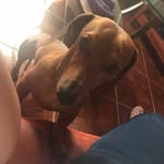 Jack 🐕 - @jack._enriquez - Instagram