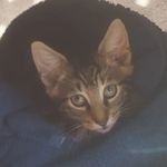 jack entwistle - @entwistle_jack - Instagram
