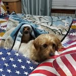 Jack Epperson - @jackaltonepperson - Instagram