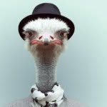 @jack_epperson_ - Instagram