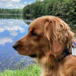 Jack Gerhard - @jackgerhard_ - Instagram