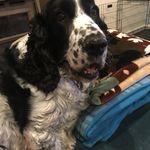 Jack Ericson - @jack.ericson41 - Instagram