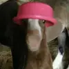 Jack Eumont - @jackeumont - TikTok