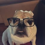 Jackson Evarts - @jackson_evarts_2004 - Instagram