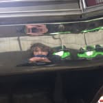 Jack everett - @jackeverett613 - Instagram