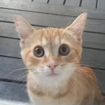 Jack Fabregue - @jackfabregue - Instagram