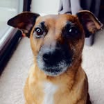Jack_Fairbrother21 - @jackfairbrother2017 - Instagram