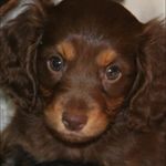 Jackie Faircloth - @jackief1972 - Instagram