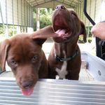Jackie Faircloth - @jackiecfaircloth - Instagram