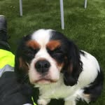 Jack Fairley - @fairley.jack - Instagram