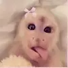 Jack falls - @jack.falls6 - TikTok