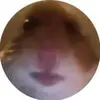 user1960485737065 - @jackfalls0 - TikTok