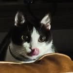 Jack Farris - @sirspazalott - Instagram
