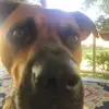 jackfarris75 - @jackfarris75 - TikTok