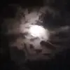 Jack Faust the Reaper - @jack.faust.the.re - TikTok