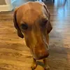 jack.federpriv08 - @jack.federpriv08 - TikTok
