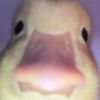 Jack Feeley - @jackfeeley17 - TikTok
