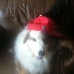 @jack_feille1954 - Instagram