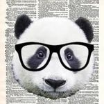 Jack Fellows - @pmm_jackfellows - Instagram