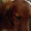 Jackson fender1515 - @jackson.fender151 - TikTok