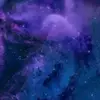 jackfenner4 - @jackfenner4 - TikTok