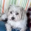 jackiefennerthomas2 - @jackiefennerthomas2 - TikTok