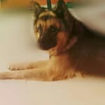 jack fernandes - @jackdog_2320 - Instagram