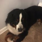 Jack Ferrante - @jackjack00027 - Instagram